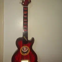 گیتار مخصوص آموزش