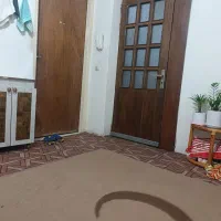 رهن سویت یک خوابه|اجارهٔ آپارتمان|شیراز, شریف‌آباد|دیوار