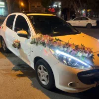 ۲۰۷  بدون رنگ