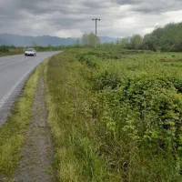 ۲۵۰ متر زمین باعات بافت تجاری بر جاده اصلی