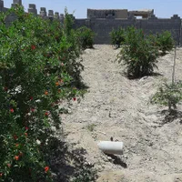 چهار دیواری واقع در روستای کاج|فروش زمین و ملک کلنگی|اصفهان, سرشبادران|دیوار
