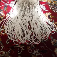 گردنبدمنجوقی فلفل