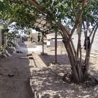 باغ ویلای 600 متری دونبش در کسکن|فروش خانه و ویلا|سبزوار, قصبه غربی|دیوار