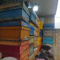 کندوی خالی زنبور عسل