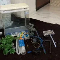 آکواریوم شرکتی|ماهی|ری, امین آباد|دیوار