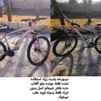 دوچرخه بلست ۲۹