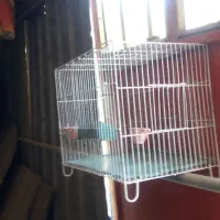 قفس پرنده|لوازم جانبی حیوانات|اهواز, حصیرآباد|دیوار