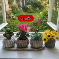 گلدانهای ست سنگ مصنوعی|صنایع دستی و سایر لوازم تزئینی|قم, آزادگان|دیوار