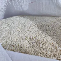 برنج چمپا|خوردنی و آشامیدنی|بندر ماهشهر, |دیوار