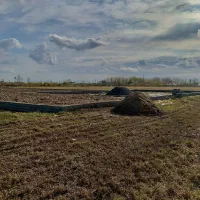 زمین ۱۵۰ متر ساحلی زیر قیمت فروش فوری