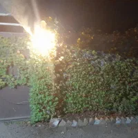 خانه باغ در چاهک