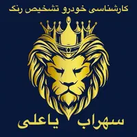 کارشناسی و تشخیص رنگ سیار خودرو غرب تهران واندیشه