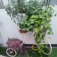 استند گلدان فلزی دوچرخه