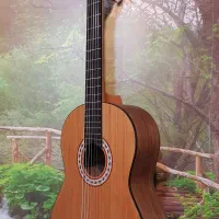 (گیتار)کلاسیک مدل پارسی m3