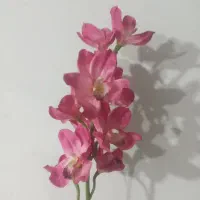 گل به همراه گلدون تمیز سالم|گل مصنوعی|قرچک, داوود آباد|دیوار