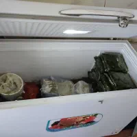 فریزر صندوقی