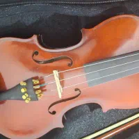 ویولون حرفه ای