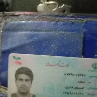پیداشده