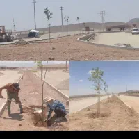 فروشنده وخریدار پرنیان.طایقان.قنوات