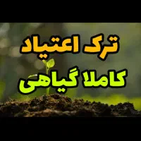 ترک اعتیاد کاملا گیاهی ویژه شاغلین|خدمات آرایشگری و زیبایی|بندر امام خمینی, |دیوار