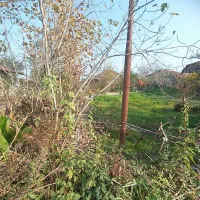 زمین مسکونی ۳۰۰ متری لاهیجان سیاهکل سند پروانه|فروش زمین و ملک کلنگی|لاهیجان, کوه بیجار|دیوار