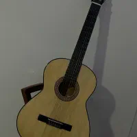 گیتار دیاموند الماس نشان