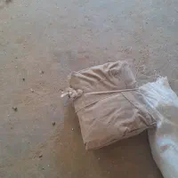 بزغاله وسایل دامداری