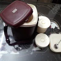 فلاسک غذا