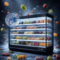 یخچال رو باز تهران سرما