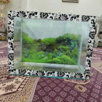 آکواریوم سالم شکستگی اصلا نداره
