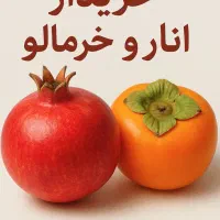 خریدار انواع انار و خرمالو|عمده‌فروشی|شیراز, قصرالدشت|دیوار