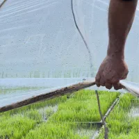 زمین کشاورزی در هر متراژ