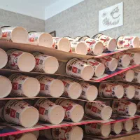 مانی شانسی|اسباببازی|کرج, برغان|دیوار