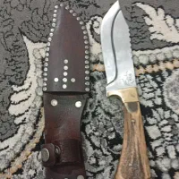 کادر دست شاخ