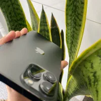 IPHONE 13Promax|موبایل|اردبیل, |دیوار