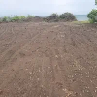فروش فوری زمین حسنبکنده چمخاله