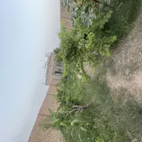 فروش خانه ویلایی ۱۲ متری ۱ خوابه در قطب راوندی|فروش خانه و ویلا|کاشان, قطب راوندی|دیوار