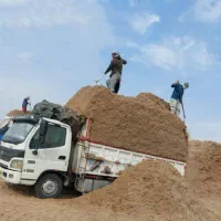 کاه باگاس|لوازم جانبی حیوانات|قزوین, |دیوار