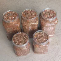 ترشی لیته مخلوط دودی|حراج|ساری, |دیوار