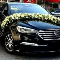 گل آرایی ماشین عروس با قیمت مناسب درب منزل شما|گل و گیاه طبیعی|تهران, نازیآباد|دیوار