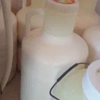 دوغ خوش طمع گوسفندی