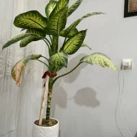 گل با پایه و گلدان