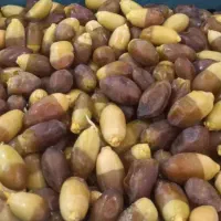 رطب مستوفی تازه