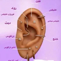 طراحی|تابلو، نقاشی، عکس|بندر امام خمینی, |دیوار