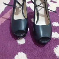 کفش مجلسی|کیف، کفش، کمربند|مشهد, باغ فراگرد|دیوار