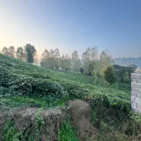 715متر پروانه دار سنددار|فروش زمین و ملک کلنگی|املش, |دیوار