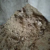 کود مرغی|حیوانات مزرعه|شیراز, کوشک بیدک|دیوار