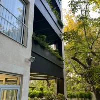 فرعی برند همت جنوبی / پیش فروش / 310 متر 4 خواب