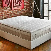 تشک Rayzen رویال اصل