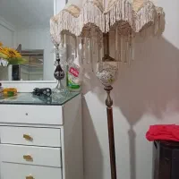 آباژور ایستاده سالم